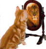 majikal kittykat mirror