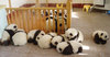 Panda Bear Kindergarten