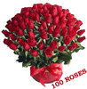 100 Roses!