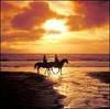 beach HORSE RIDE