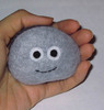 pet rock