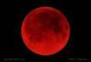 A blood moon!