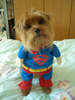i wanna be your superman!