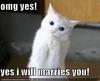 Yes i will marry you!