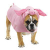 Pig costume