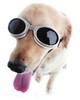 Doggles