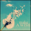 magic wish...