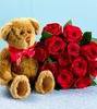 teddy and roses