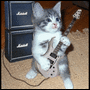 Rock 'n' Roll Kitten
