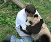 Panda Hug.