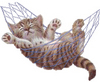 Cat in Hammock