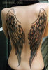 Angel Wings Tatoo