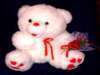 Red and White Teddy Bear 
