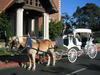 A ride on a Horse Drawn Carriage