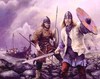 raid with the vikings year 900 