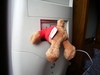 teddy bear USB, sorry