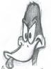 Daffy Sketch