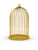Gold cage for naughty pets