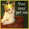 You may pet me =P
