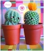 cactus love!!