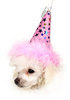 A Party Hat