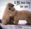 You have been give a bear hug