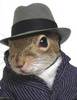 Mafia Squirrel