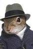 Inspector Squirrel (PI)