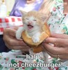 Cheezburger?