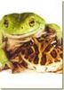 frogs love
