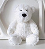 White Teddy Bear