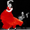 Flamenco dance lesons