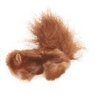 Cat Squirrel Toy