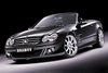 AMG Benz (silver)