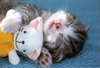 ♥Hug♥