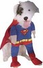 Superdog