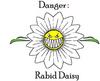 Rabid Daisy