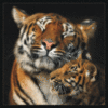 tiger huggys