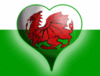 Welsh pride