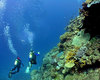Scuba-Diving in Australia