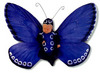 Blue Butterfly