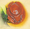 abalone bao yu