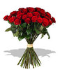 Roses for my sweetheart