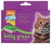 cat grass