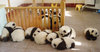 A trip to Panda Nursery