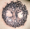 Celtic Tree of Life