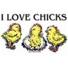 I love chicks
