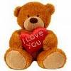 Love Teddy Bear