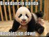 Breakdancing Panda