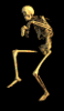 Dancin Skeleton (RARE)